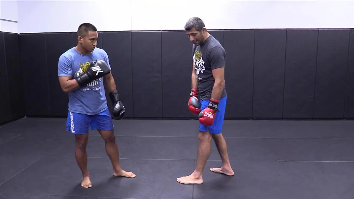 Defending & Countering The Kick by Beneil Dariush - Image 5