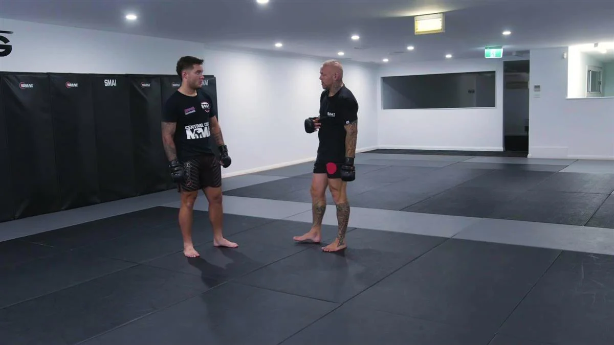 Defensive Counter Striking MMA by Ross Pearson - Image 4