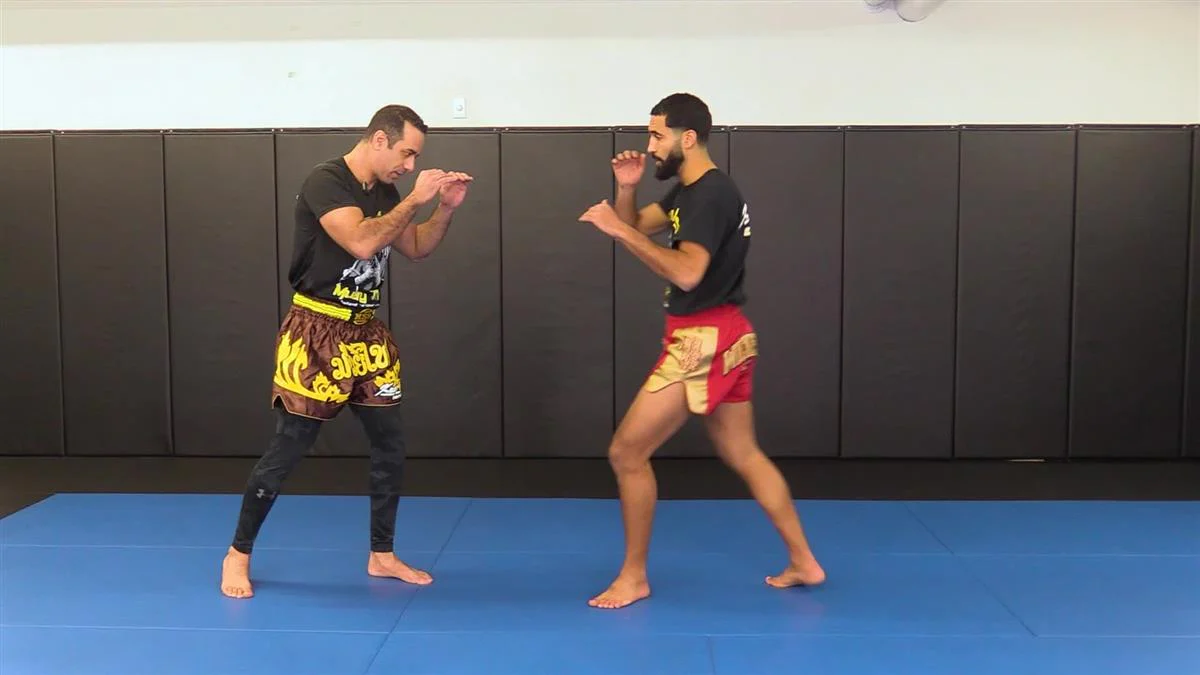 Defensive Striking System: For Boxing and Muay Thai by Achraf Alaabouch - Image 3