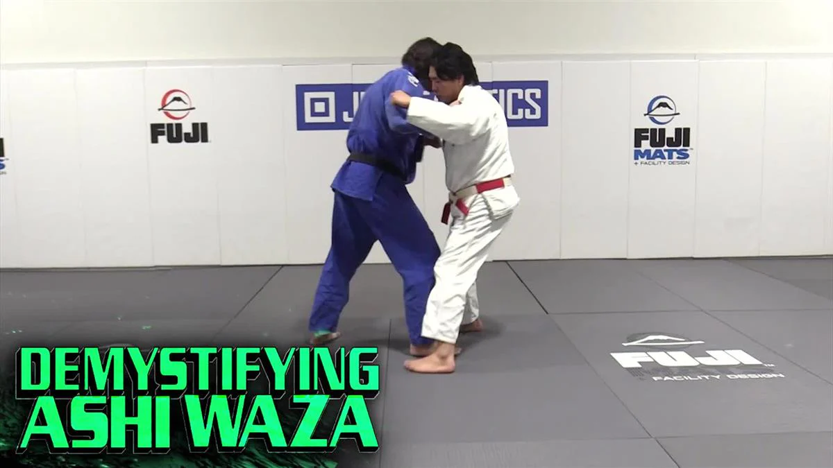Demystifying Ashi Waza by Shintaro Higashi - Image 3