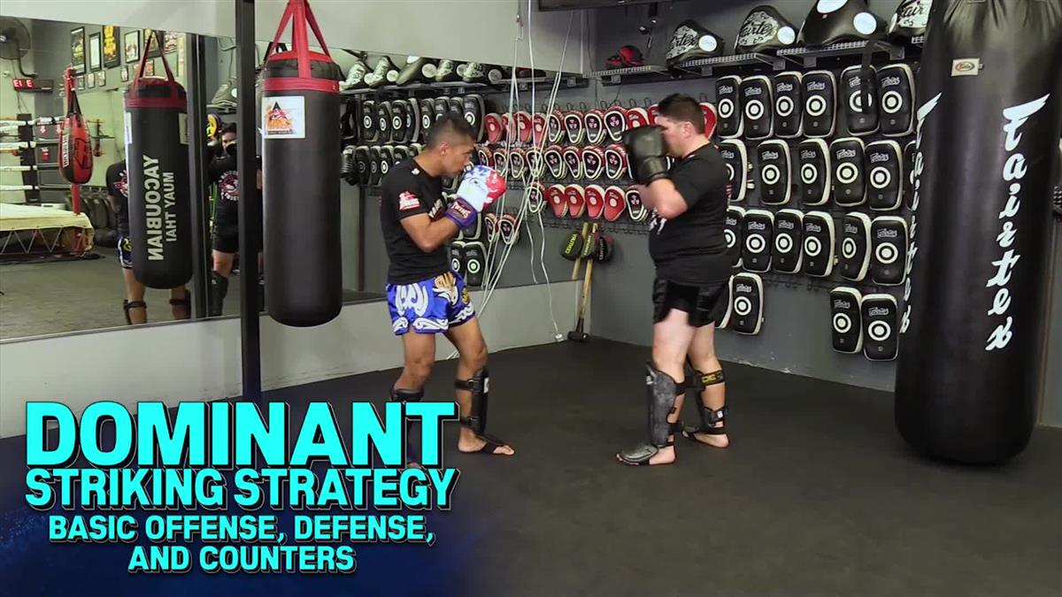 Dominant Striking Strategy by Shawn Yacoubian - Image 3