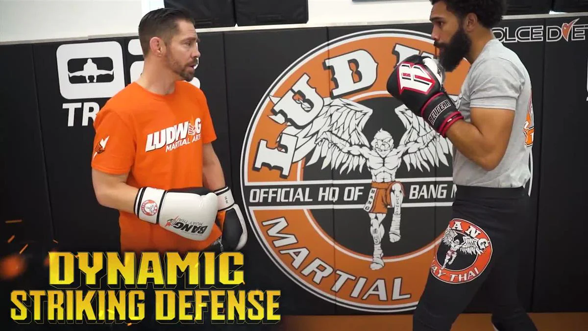 Dynamic Striking Defense by Duane Ludwig - Image 3