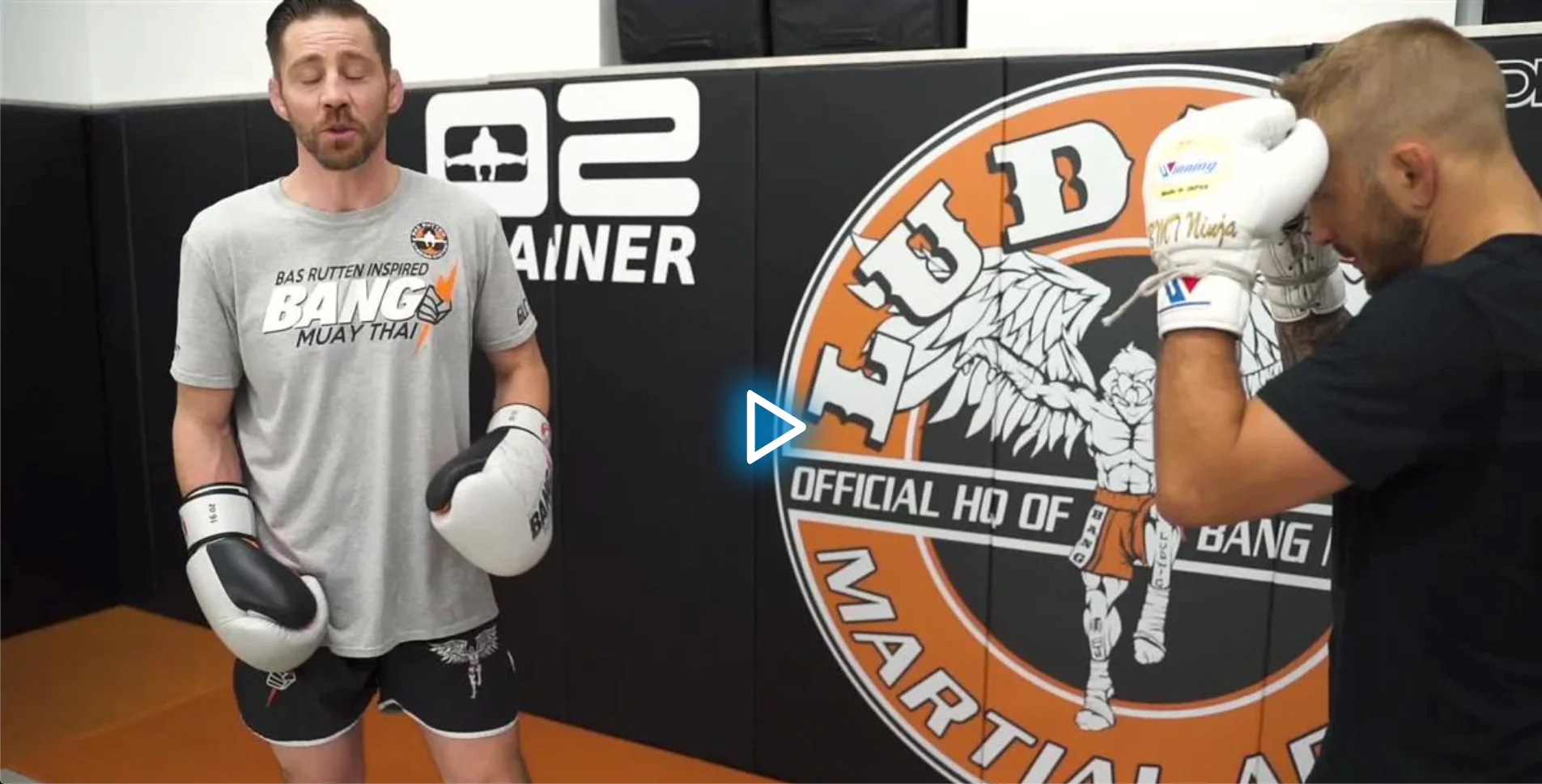 Dynamic Striking Defense by Duane Ludwig - Image 4