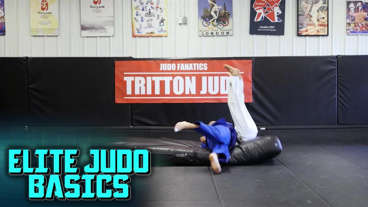 Elite Judo Basics by Nick Tritton - Image 3