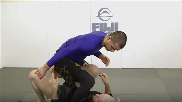 Enter The System Bundle by John Danaher - Image 3