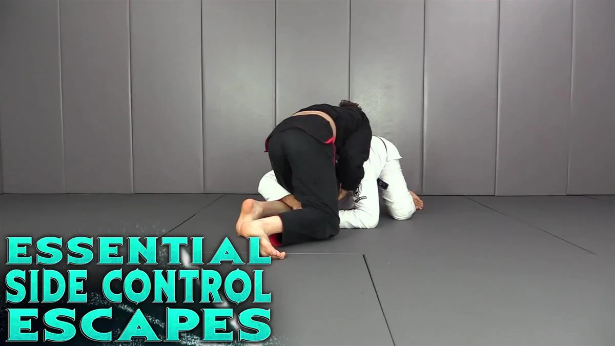 Essential Side Control Escapes by Shawn Williams - Image 3