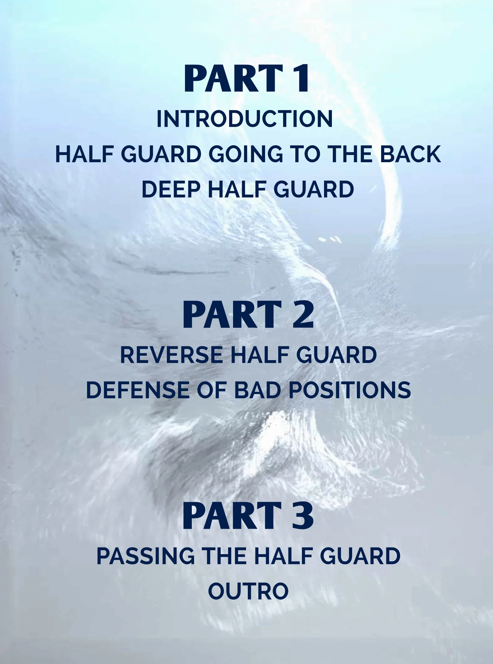 Everything About Half Guard by Theodoro Canal - Image 2