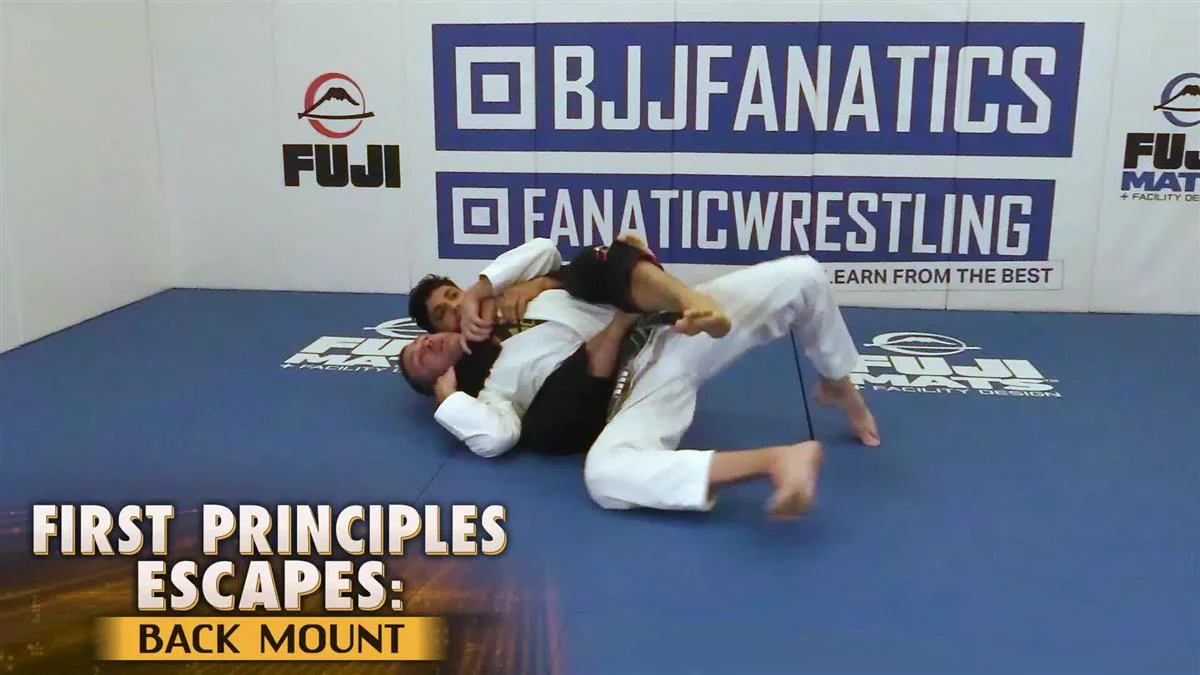 First Principles: Back Mount by Stephen Whittier - Image 3