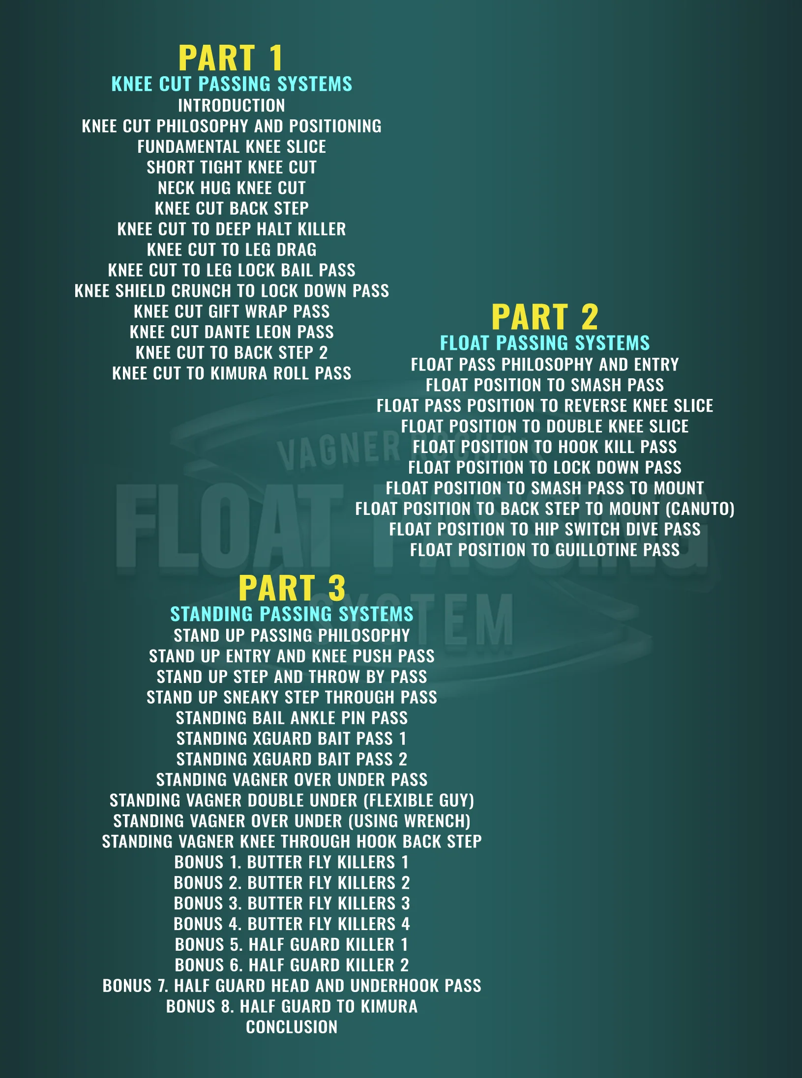 Float Passing System by Vagner Rocha BJJ - Image 2