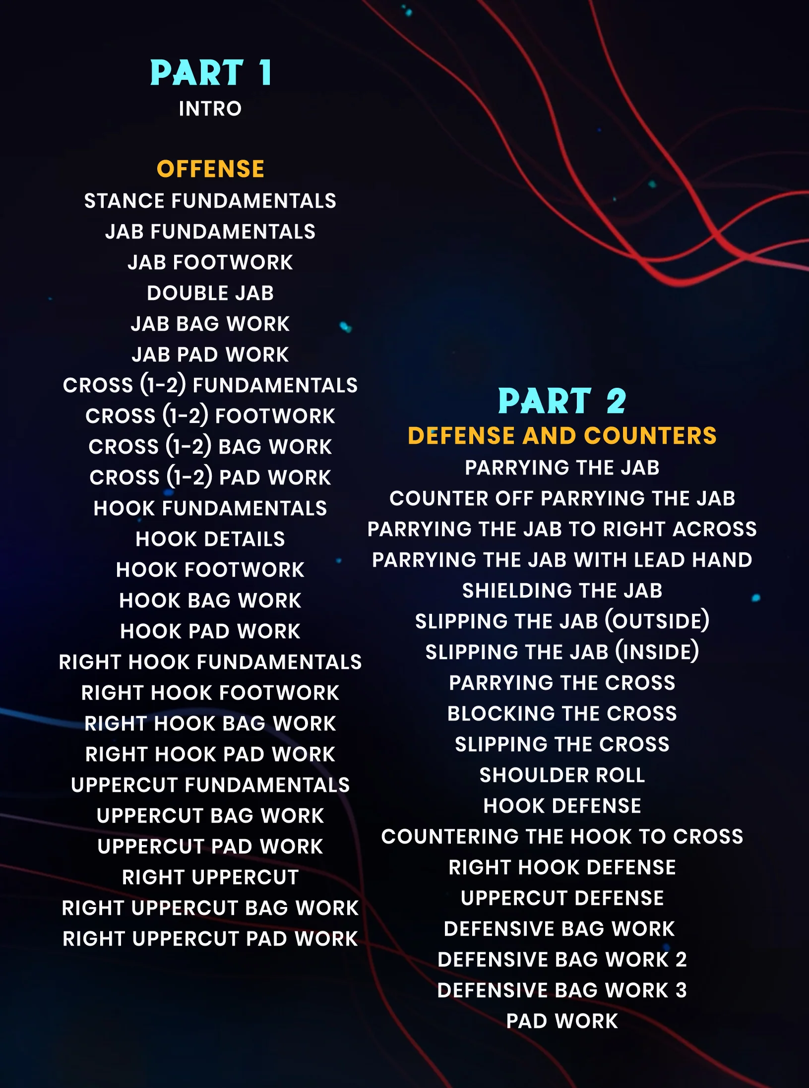Fluid Boxing Fundamentals by Dyah Davis - Image 2