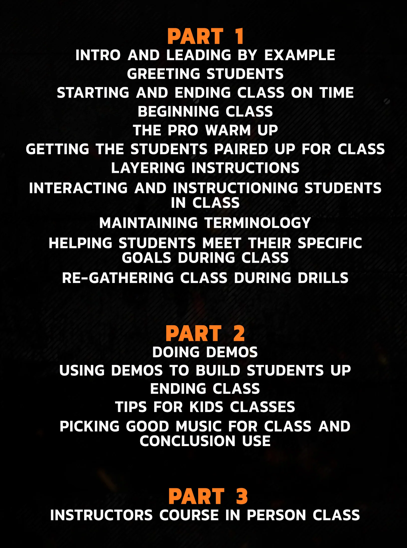 Fundamental Instructors Course by Duane Ludwig - Image 2