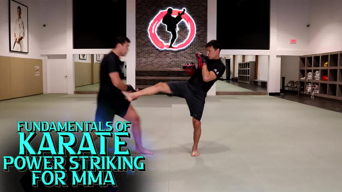 Fundamentals of Karate Power Striking For MMA by Lyoto and Chinzo Machida - Image 3