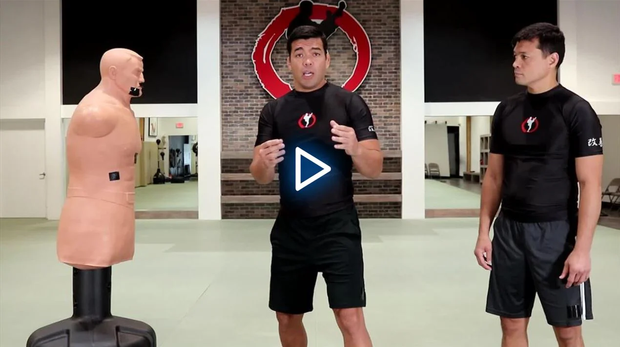 Fundamentals of Karate Power Striking For MMA by Lyoto and Chinzo Machida - Image 5
