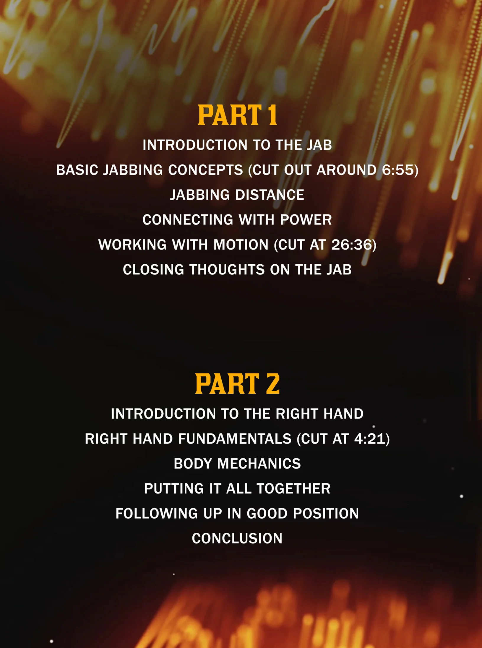 Fundamentals of Power Punching by Cain Velasquez - Image 2