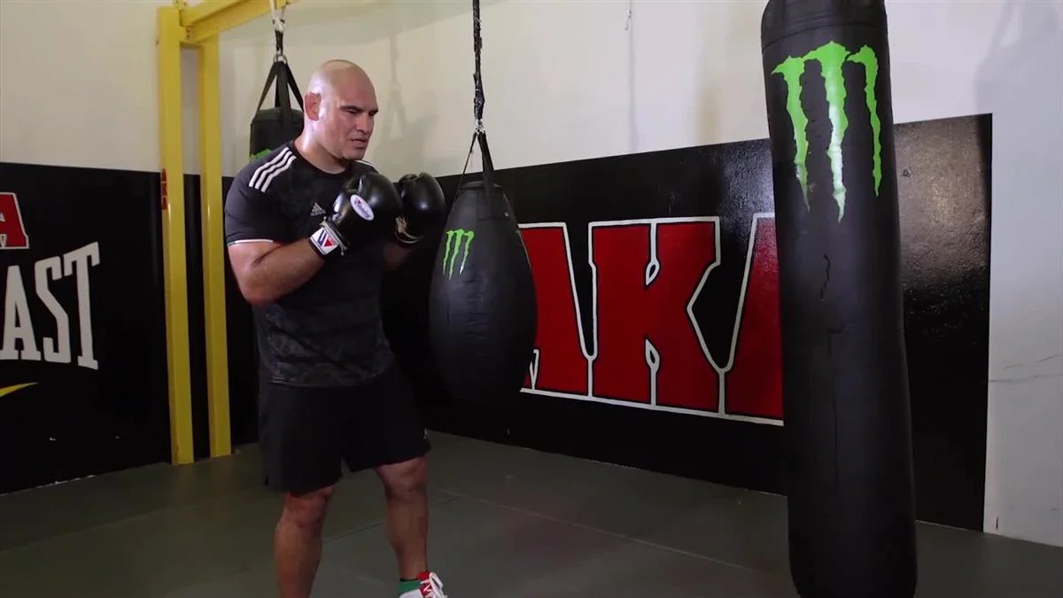 Fundamentals of Power Punching by Cain Velasquez - Image 3