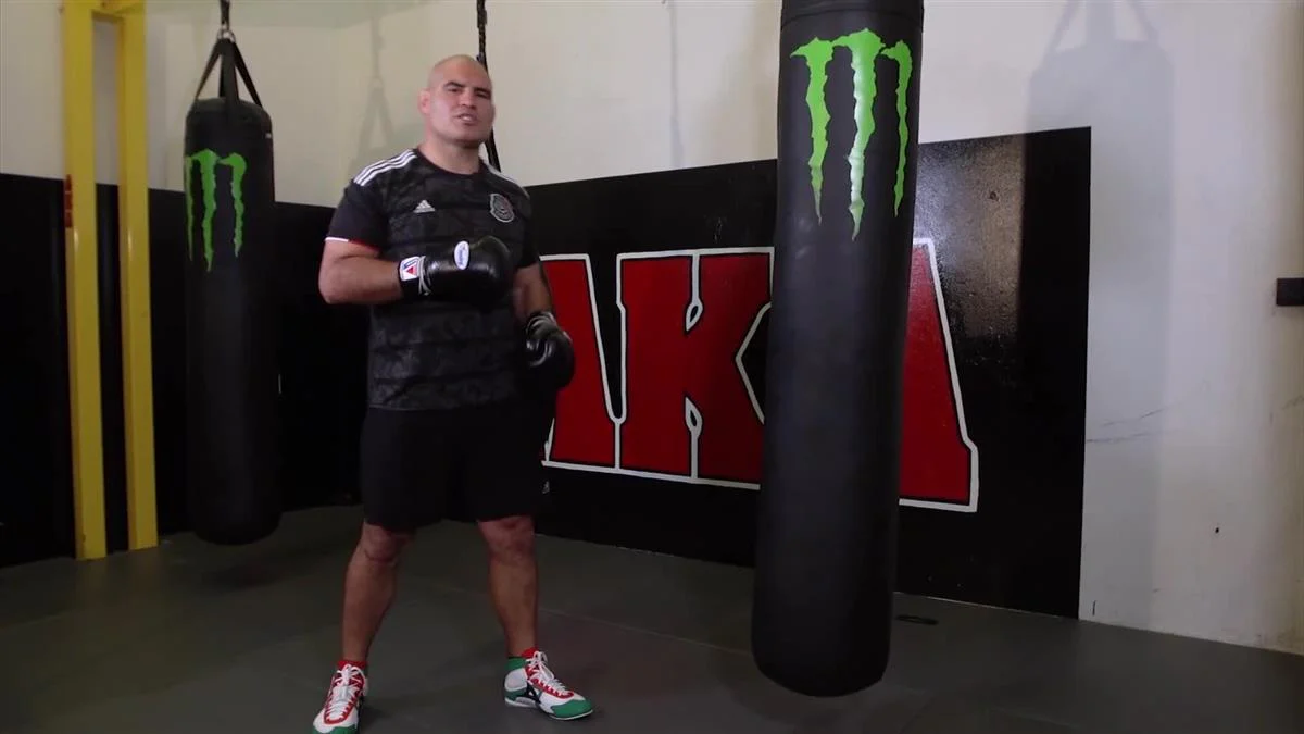 Fundamentals of Power Punching by Cain Velasquez - Image 4