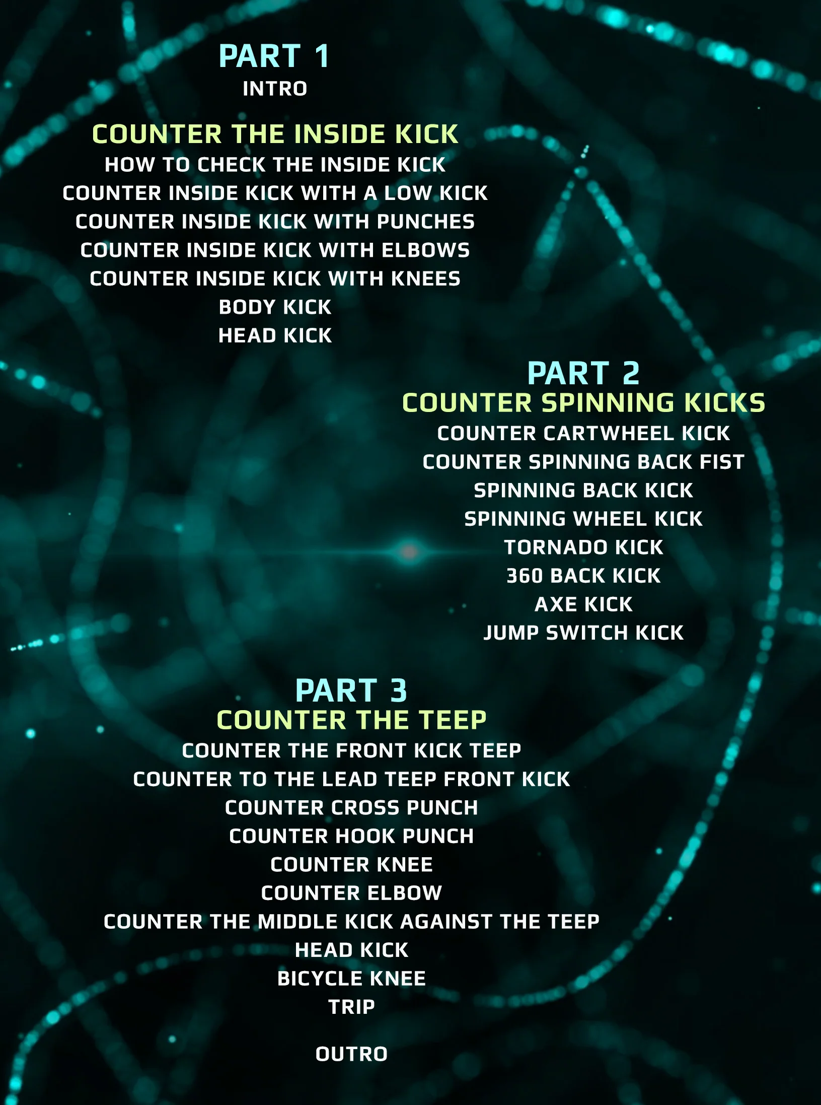 Going Into The Matrix: Counter The Lead Leg by Duke Roufus - Image 2