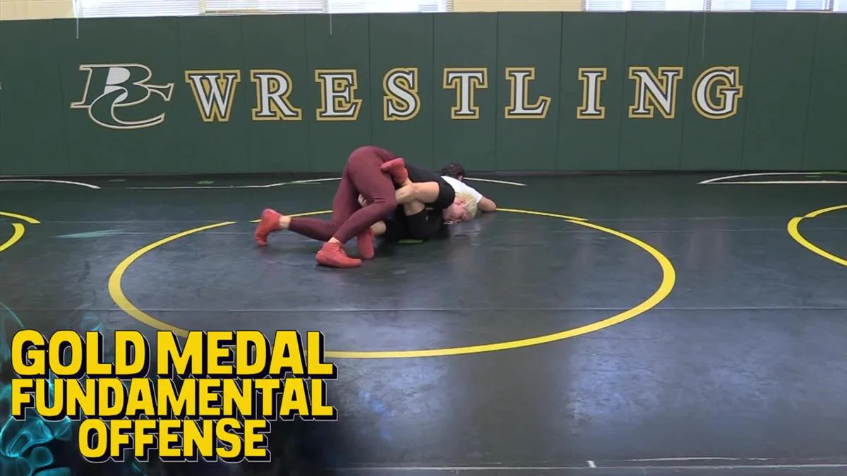 Gold Medal Fundamental Offense by Adeline Gray - Image 3