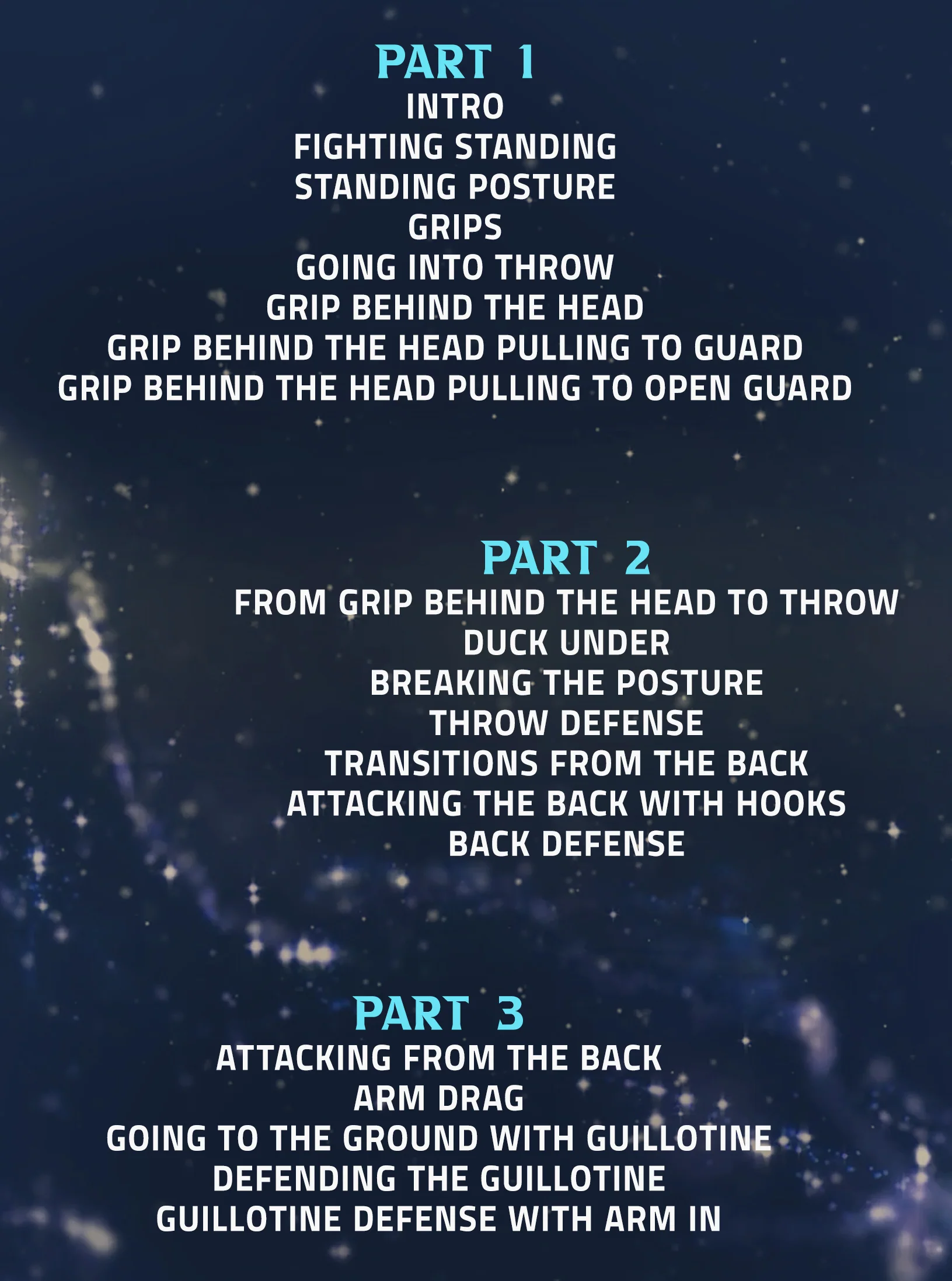 Gracie Secrets: Top To Bottom by Kyra Gracie - Image 2