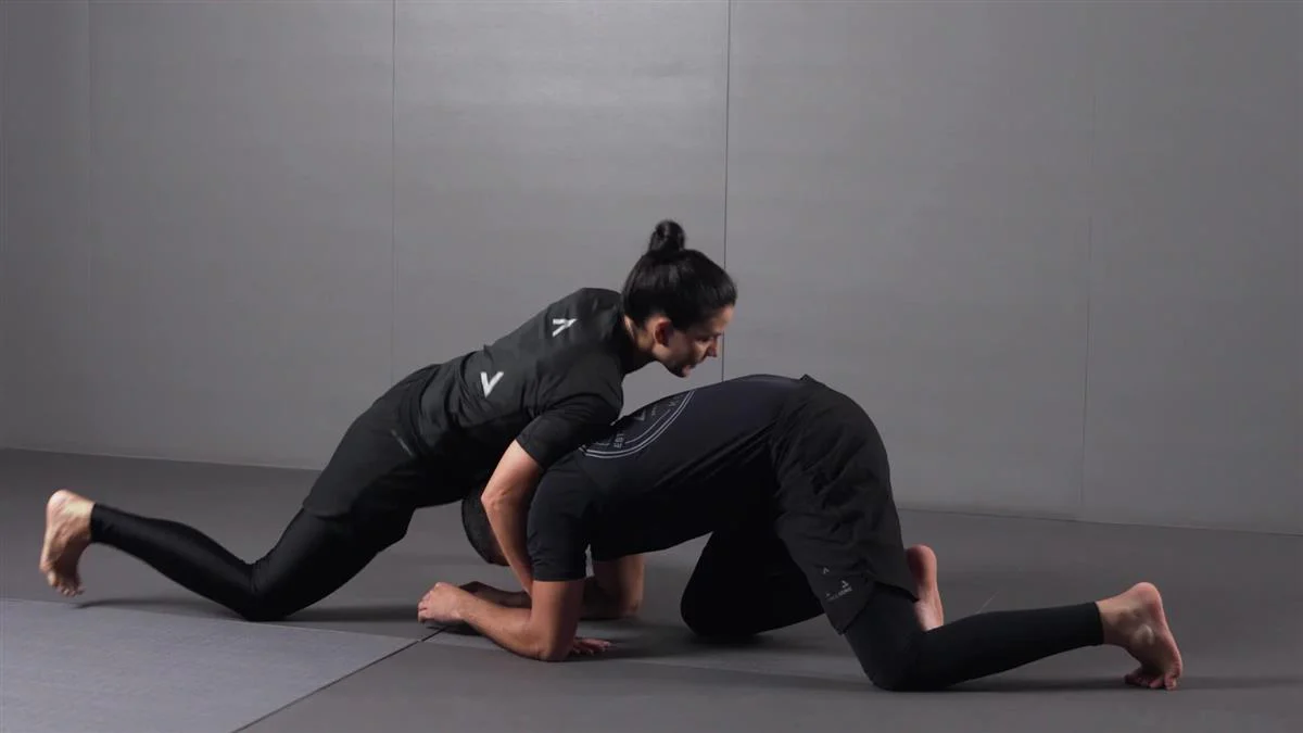 Gracie Secrets: Top To Bottom by Kyra Gracie - Image 5