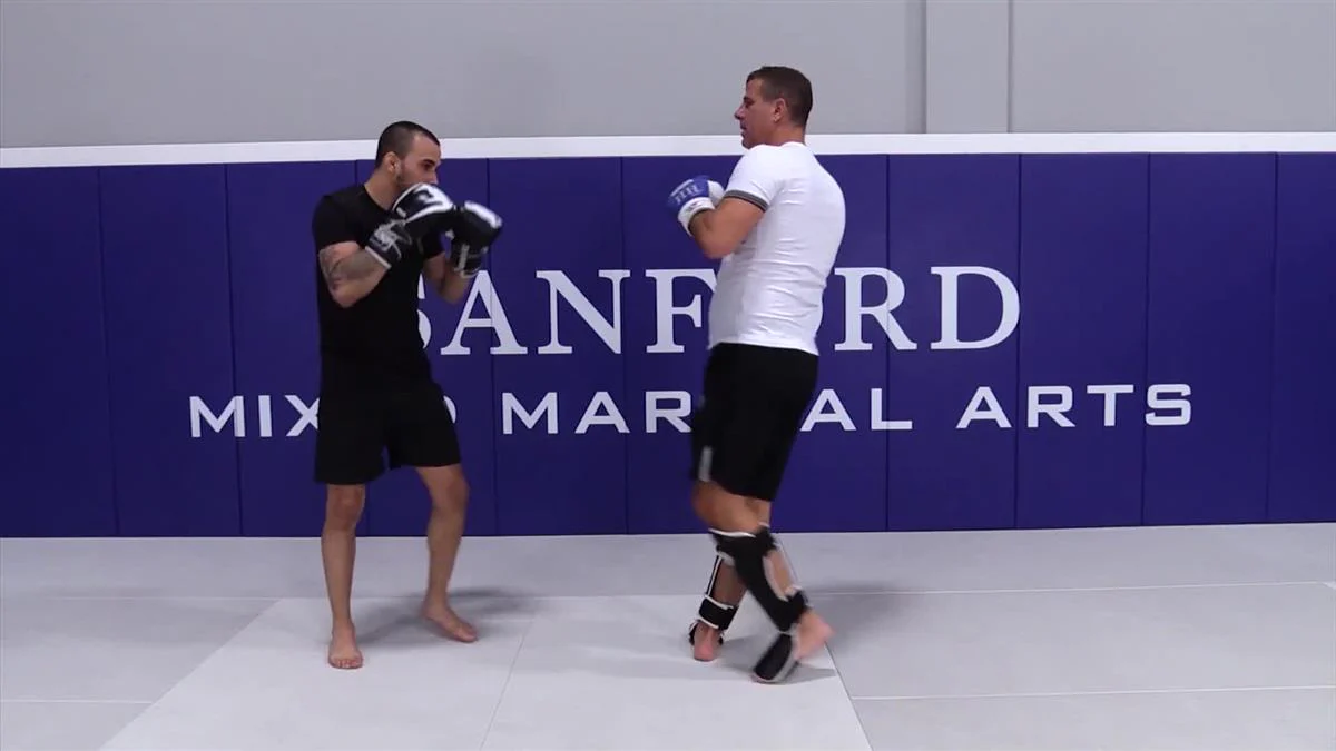 H Kick Boxing Fundamentals by Henri Hooft - Image 3