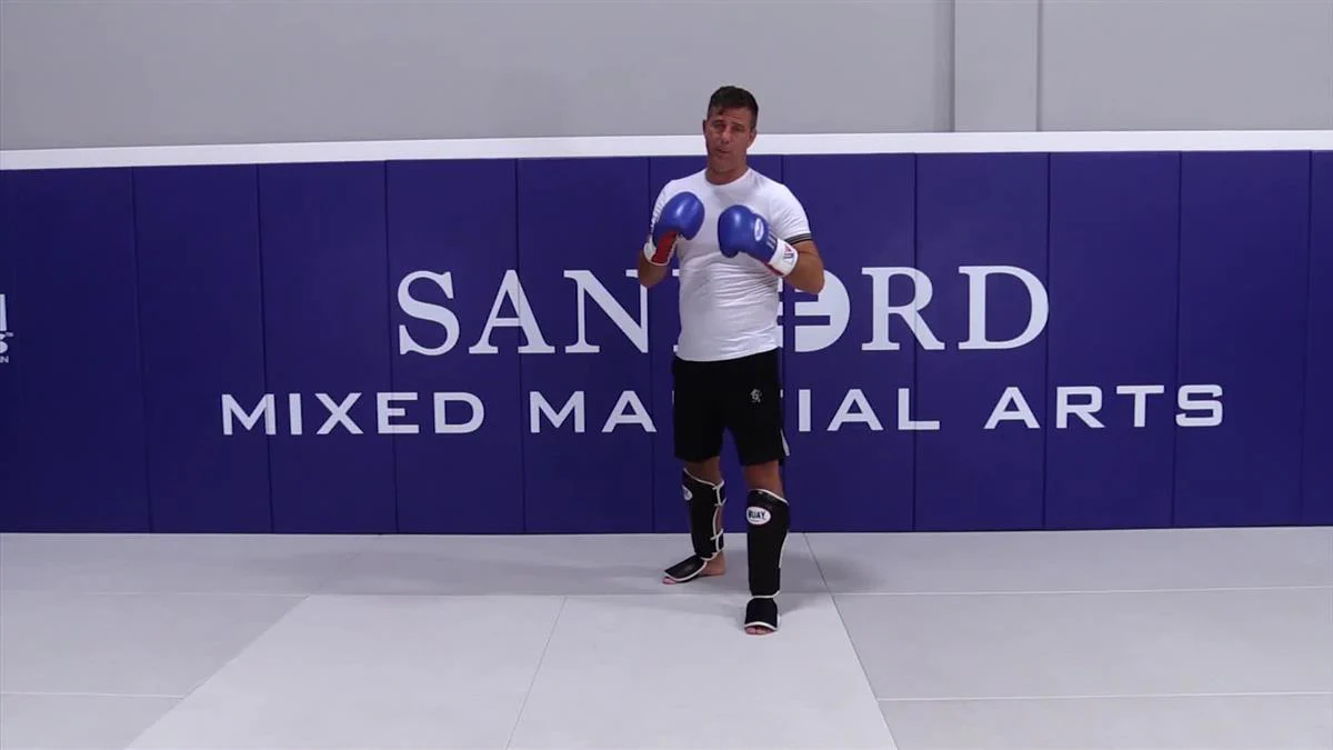H Kick Boxing Fundamentals by Henri Hooft - Image 4