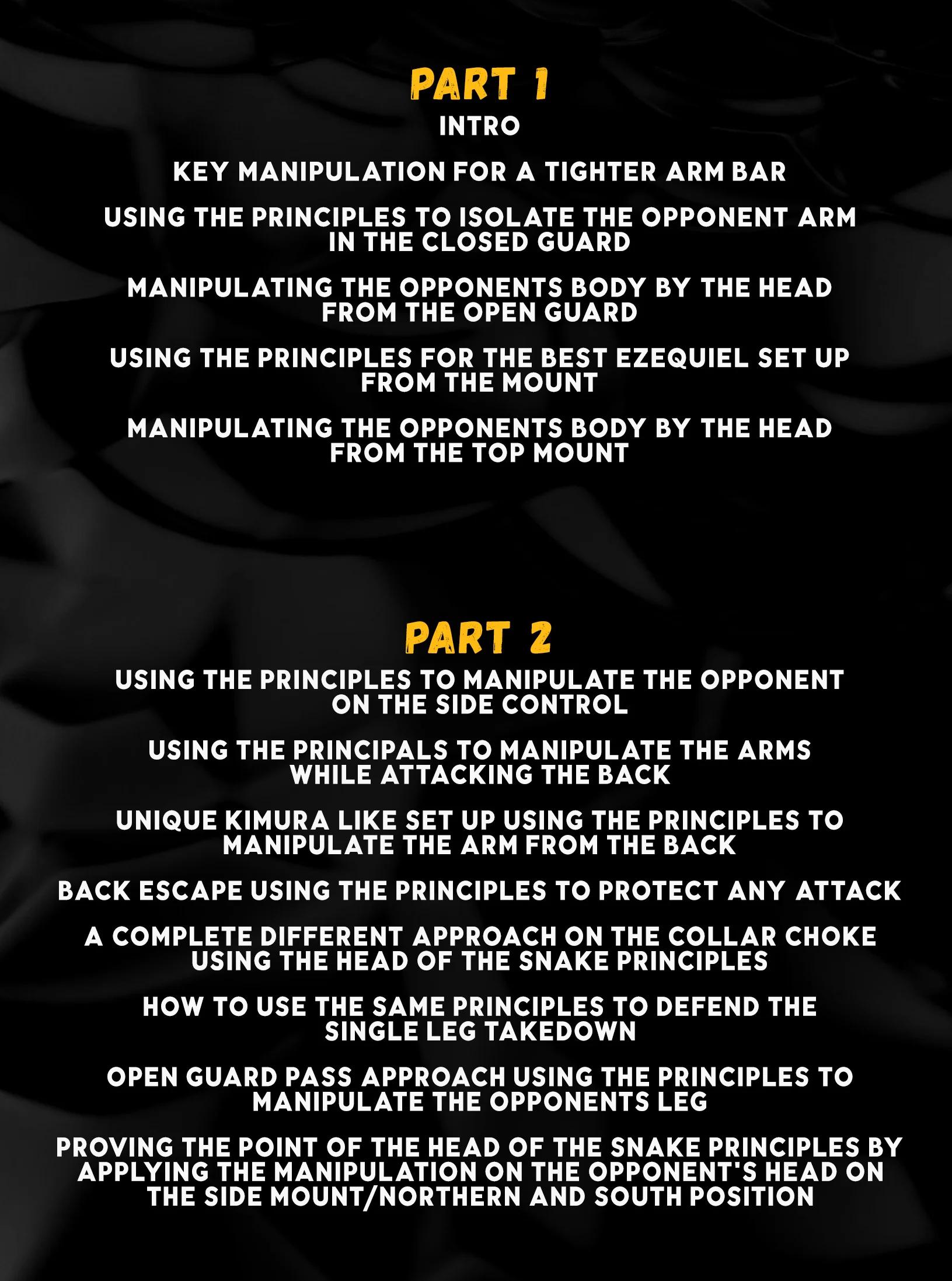 Head Of The Snake Concept: Manipulation Principles For Total Control by Braulio Estima - Image 2
