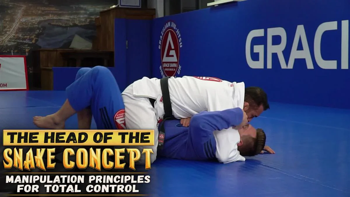 Head Of The Snake Concept: Manipulation Principles For Total Control by Braulio Estima - Image 3