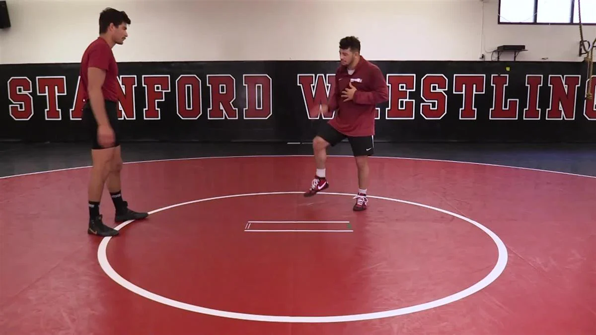 High Impact Takedown Offense by Vincenzo Joseph - Image 5