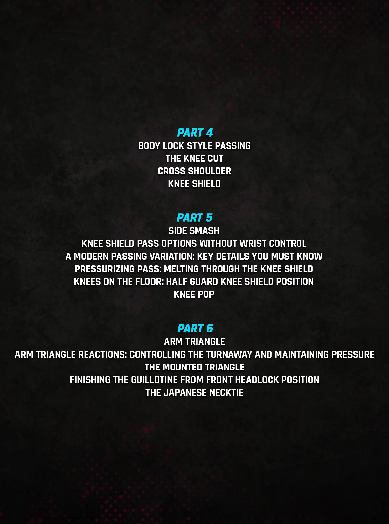 History Making Timeless No Gi by Rafael Lovato - Image 3