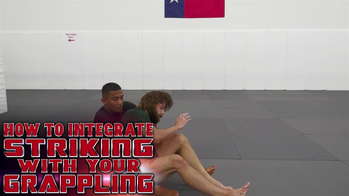 How to Integrate Striking With Your Grappling by Damien Anderson - Image 3