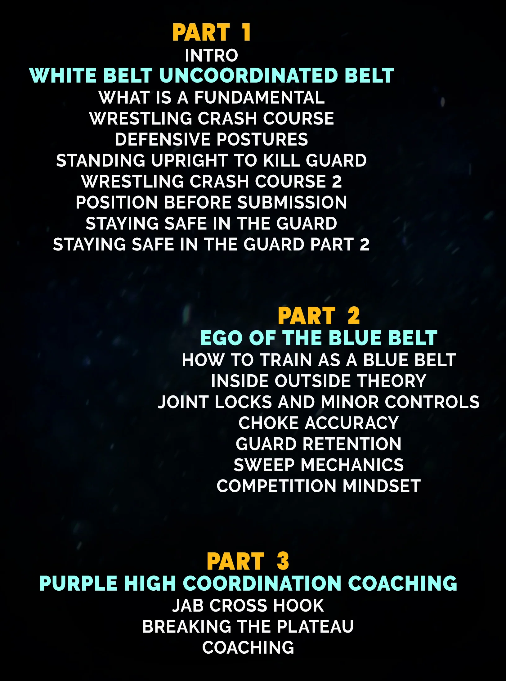 How To Learn Jiu Jitsu by Chris Paines - Image 2