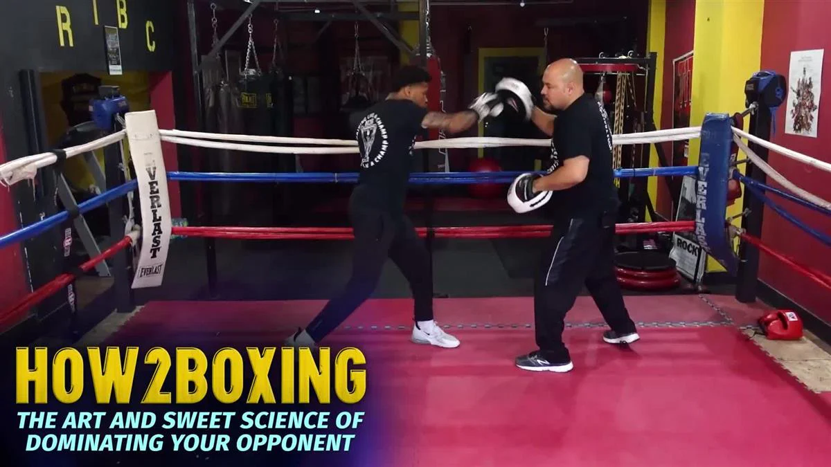 HOW2BOXING by Steve Van De Walle - Image 3