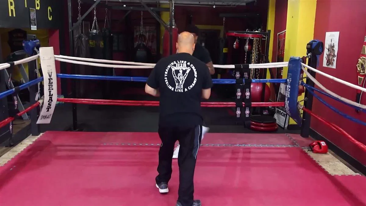 HOW2BOXING by Steve Van De Walle - Image 5
