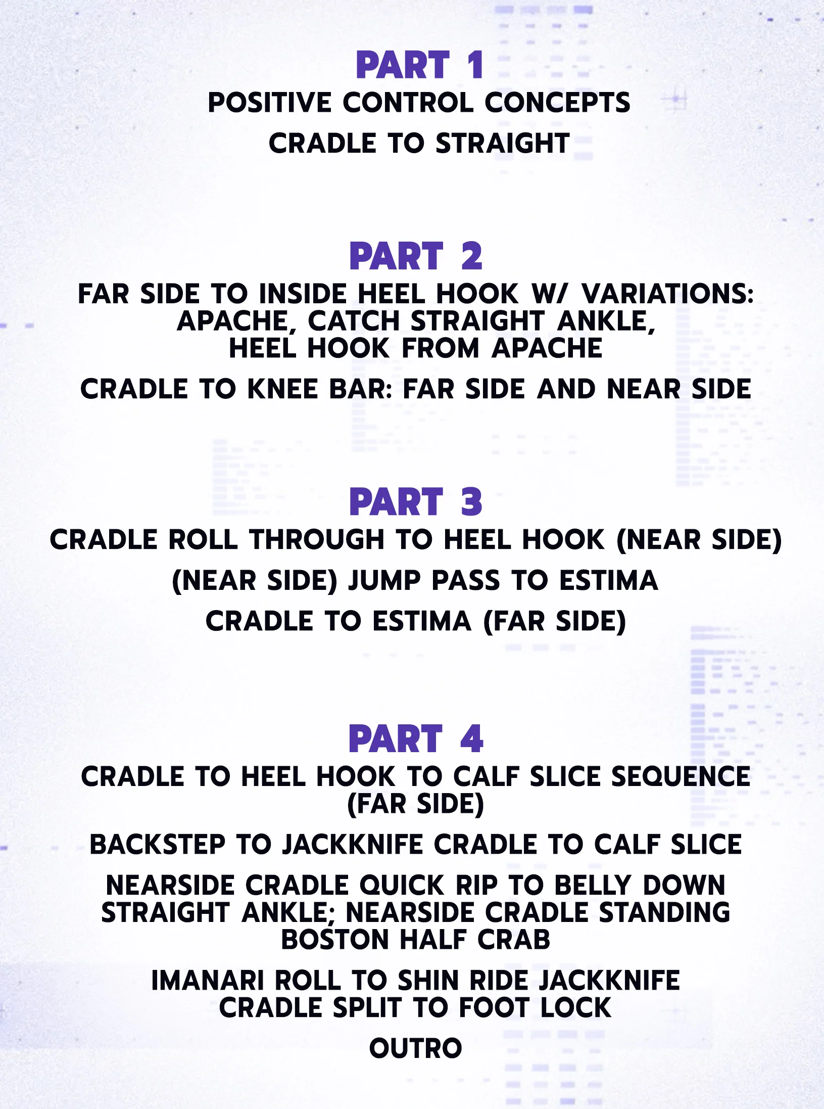 Hybrid Cradles and Leg Locks by David and Vince Petrone - Image 2