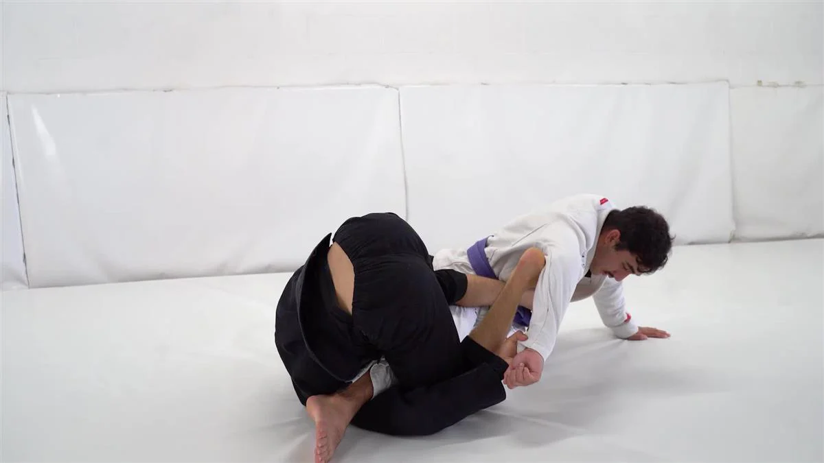 Hybrid Guard Compendium by Ariel Tabak - Image 6