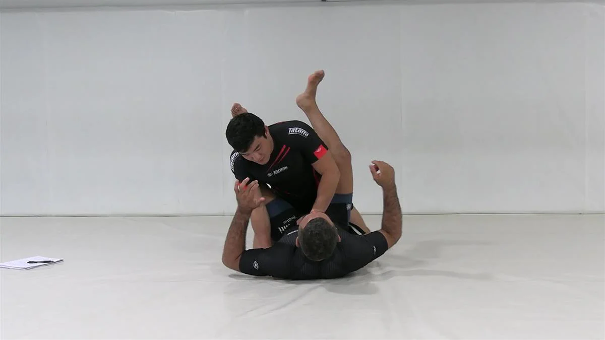 Hybrid Jiu Jitsu MMA Inspired Techniques by Vagner Rocha - Image 2