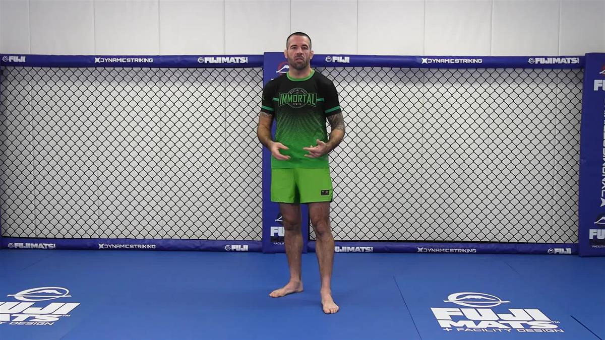 Immortal Offense Fundamentals by Matt Brown - Image 5