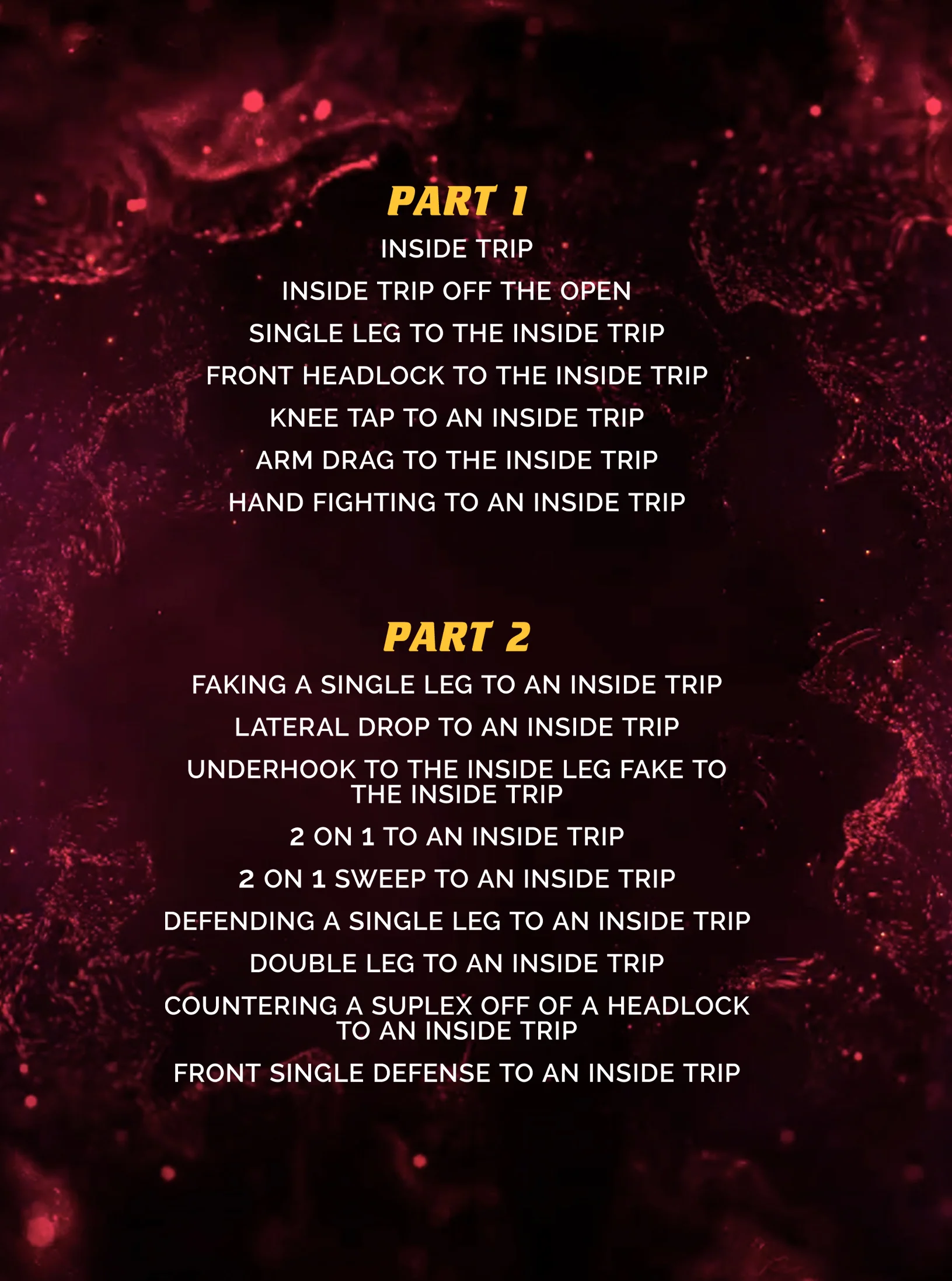 Inside Trips For Champions by Henry Cejudo - Image 2