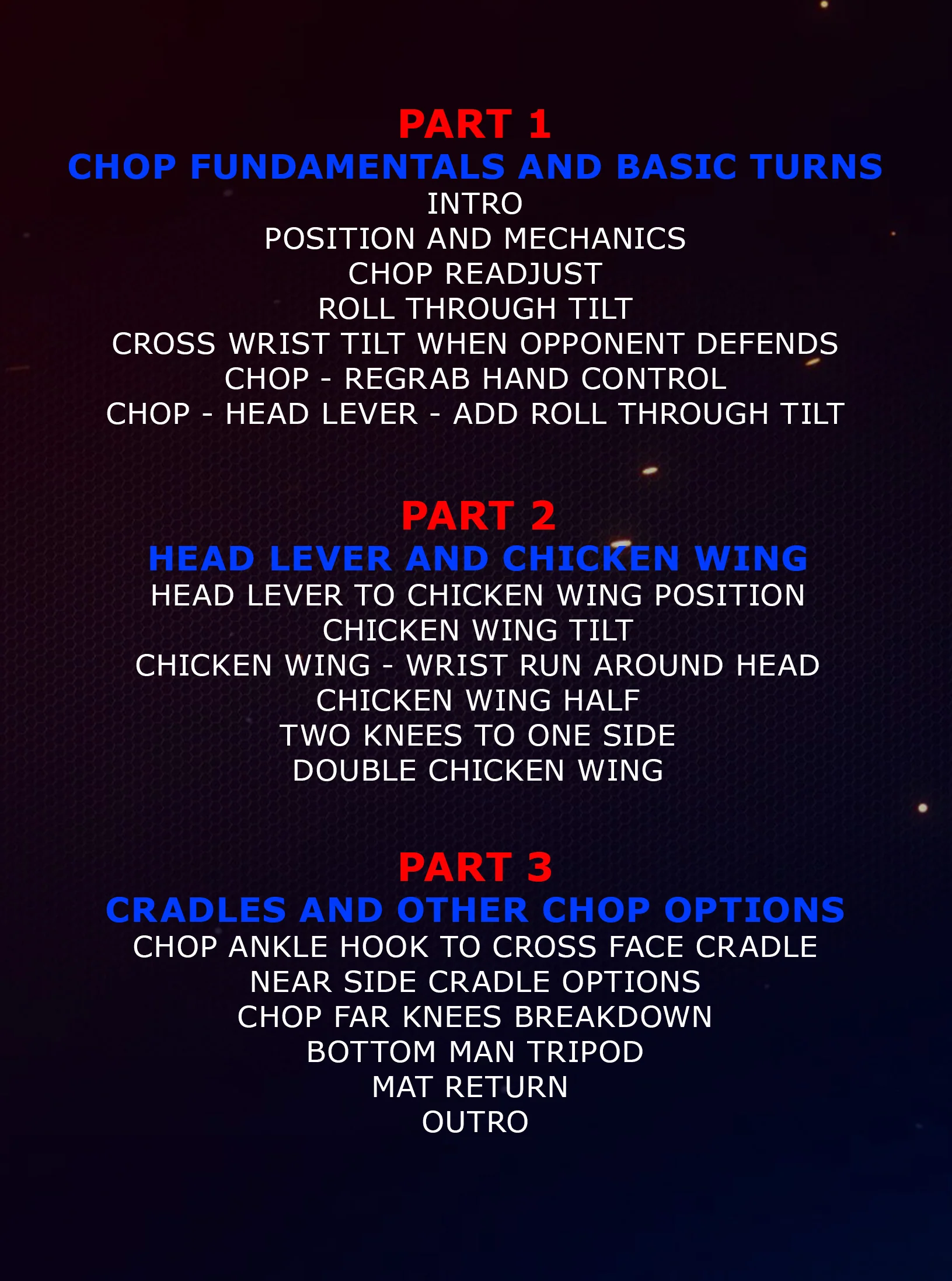 Intro To Youth Wrestling Top Position: Mastering Chop Breakdowns and Turns by Zack Esposito - Image 2