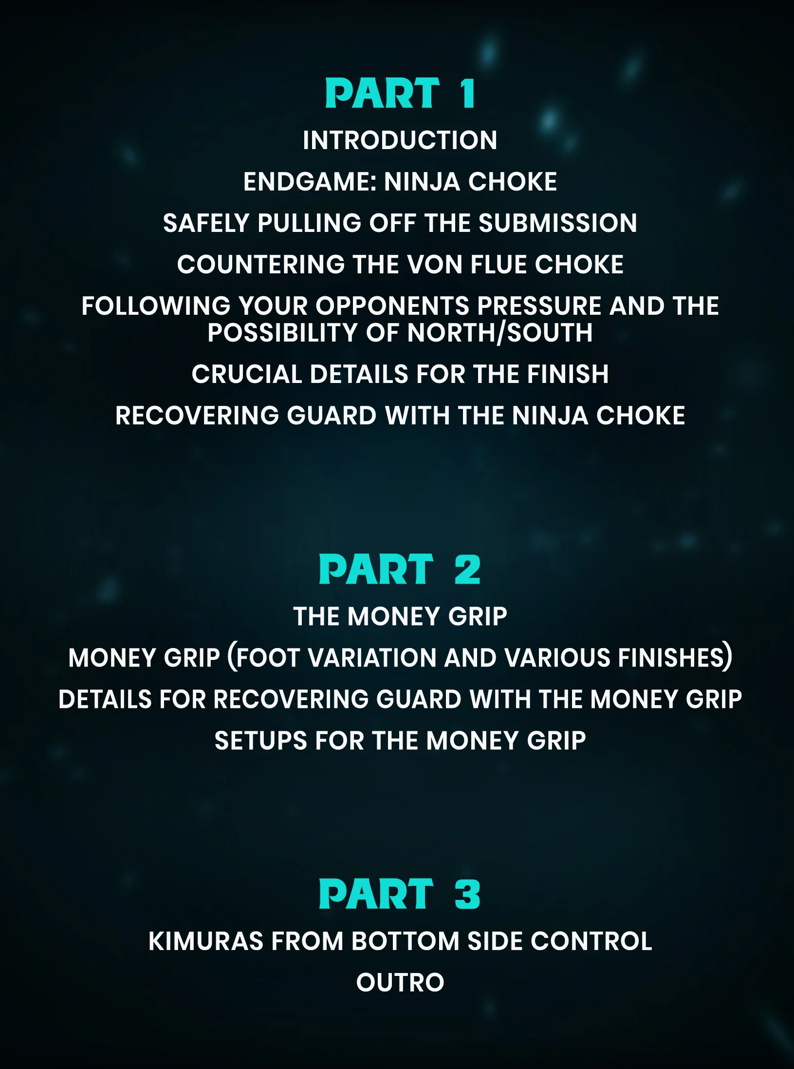 Introduction To Becoming A Side Control Assassin by Latif Kadri - Image 2