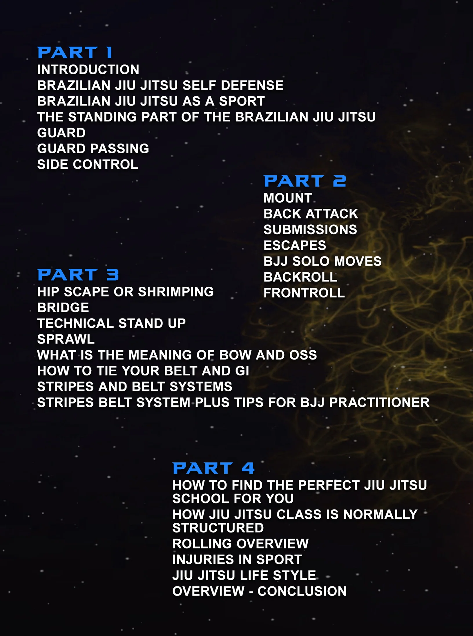 Introduction To BJJ by Bernardo Faria - Image 2