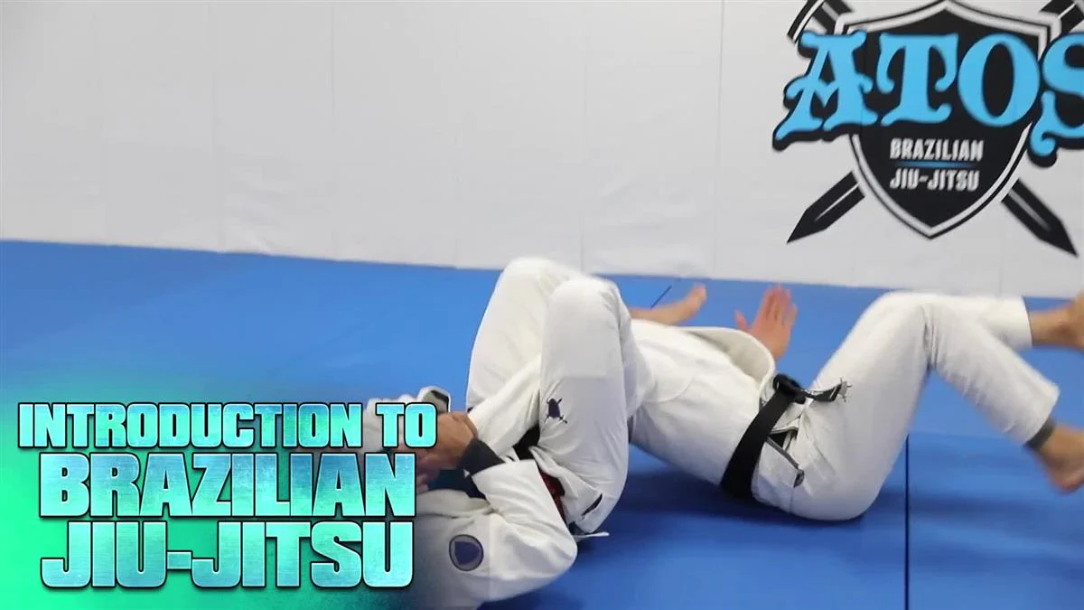 Introduction to Brazilian Jiu Jitsu by Andre Galvao - Image 3