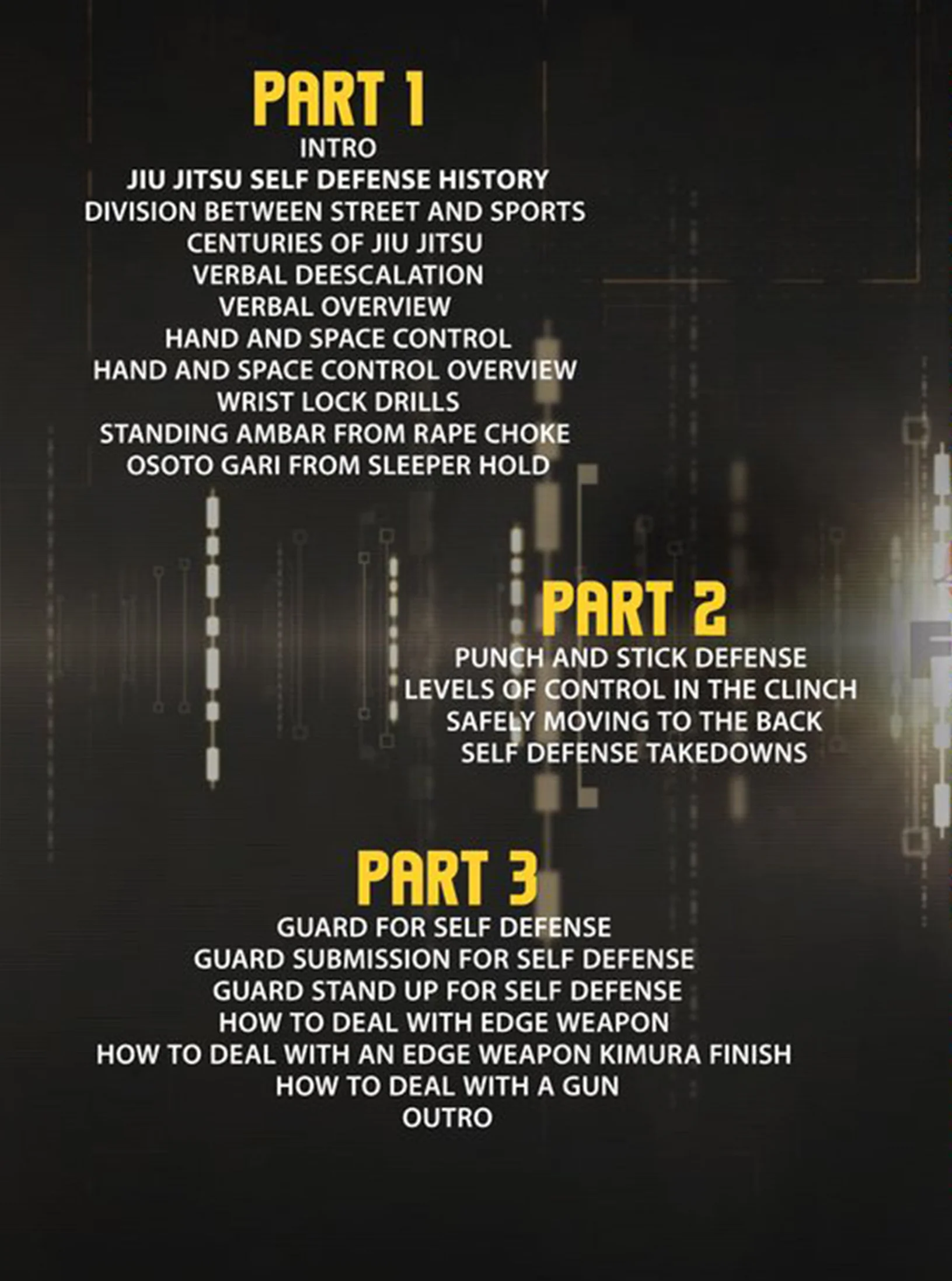 Jiu Jitsu Based Self Defense Strategies by Paul Sharp - Image 2