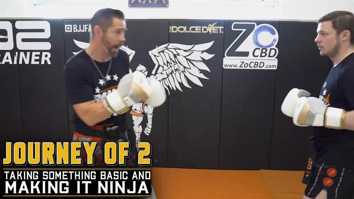 Journey Of 2: Taking Something Basic and Making ninja by Duane Ludwig - Image 3