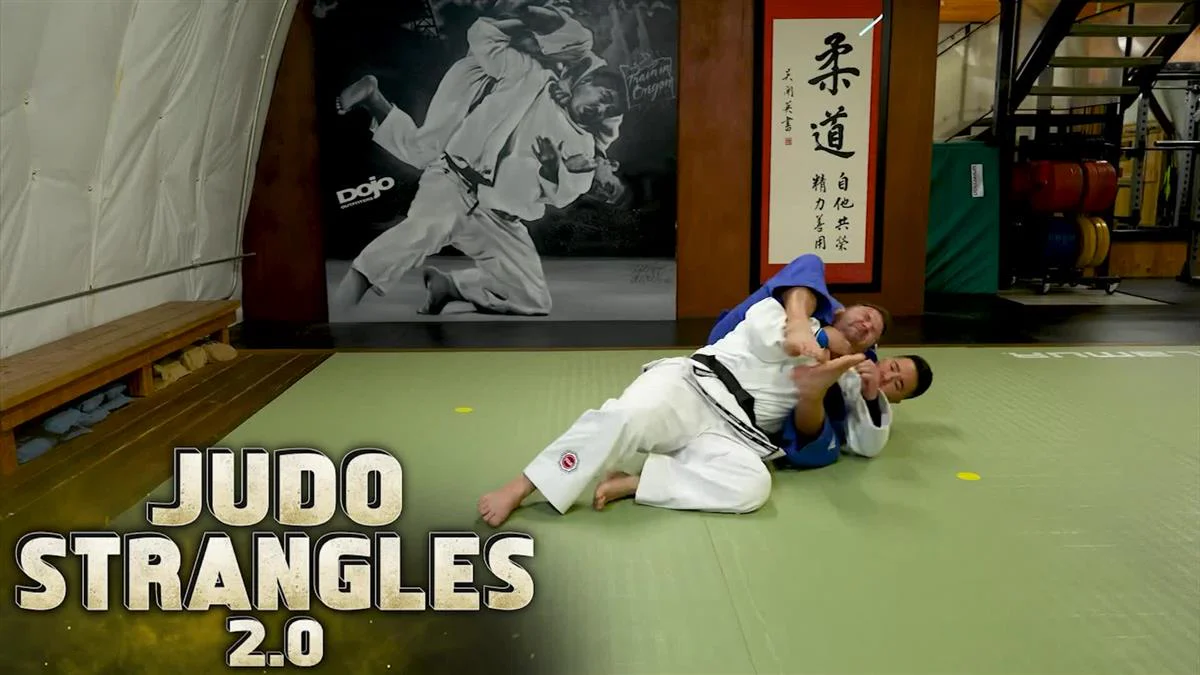 Judo Strangles 2.0 by Andy Hung - Image 3