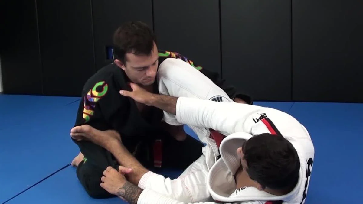 The Lo Guard & Matrix Passing by Leandro Lo - Image 4