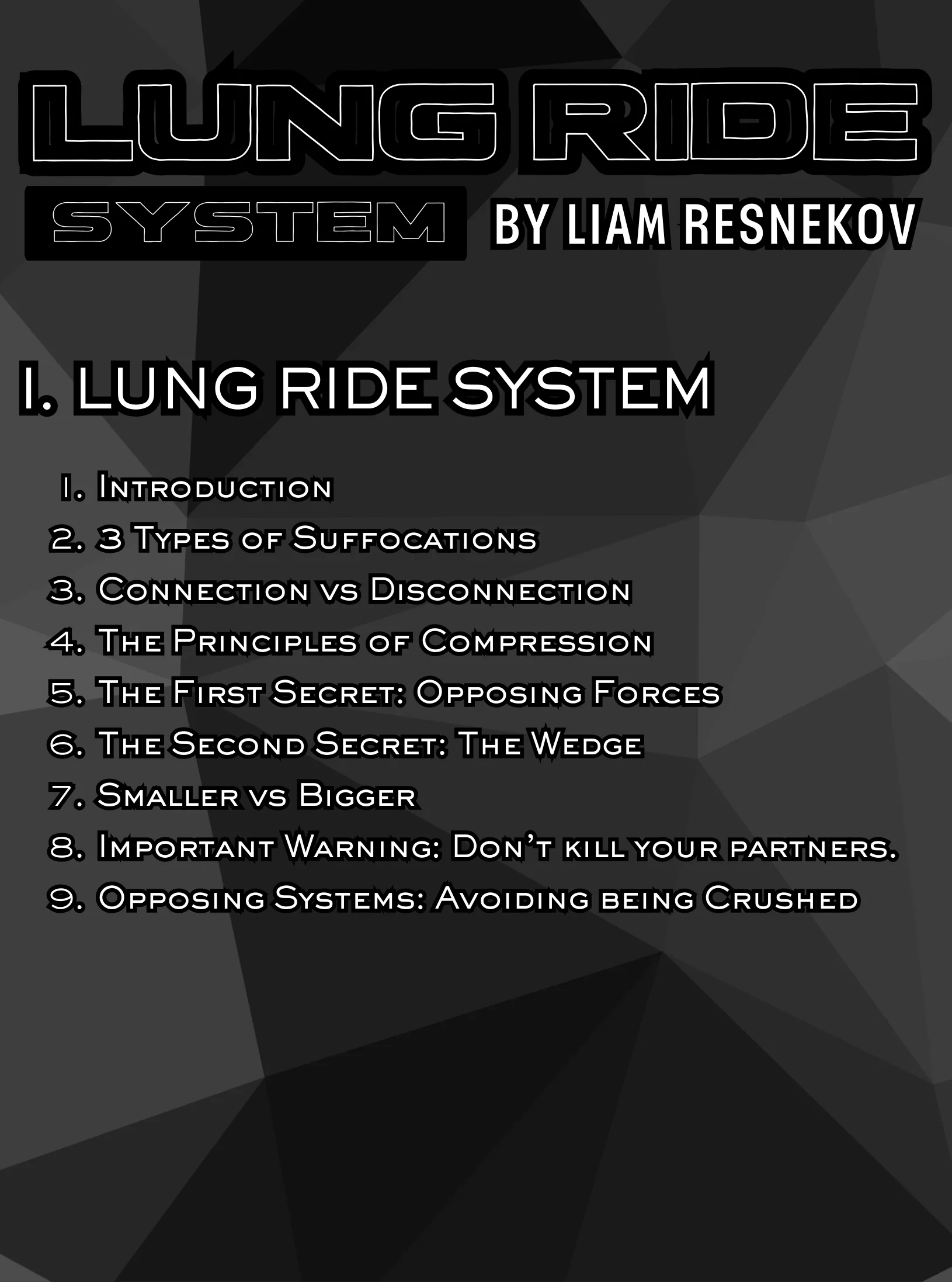 Lung Ride System by Liam Resnekov - Image 2