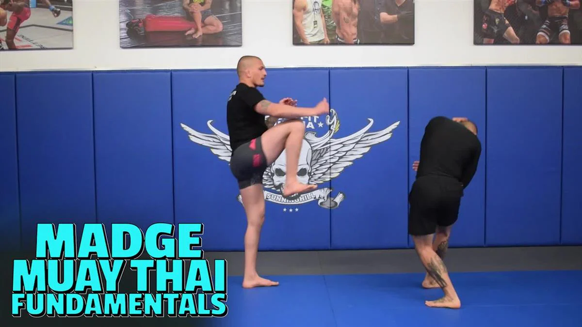 Madge Muay Thai Fundamentals by Don Madge - Image 3