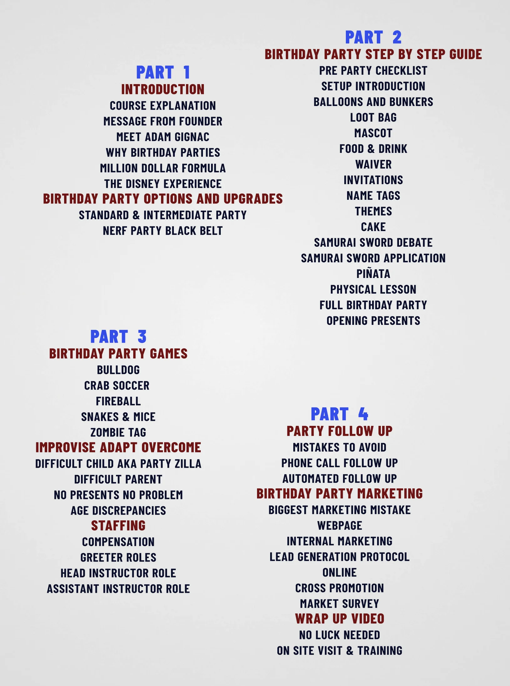 Million Dollar Birthday Party Blueprint by Patrick Cooligan - Image 2